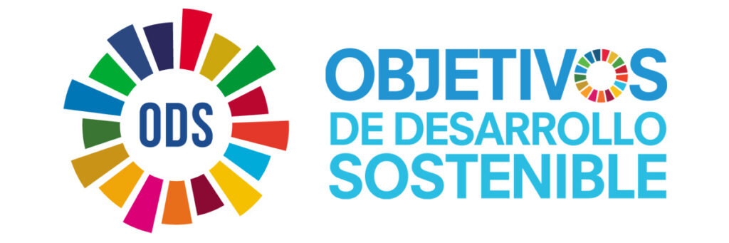 Los Objetivos de Desarrollo Sostenible - Qué son y Cómo alcanzarlos